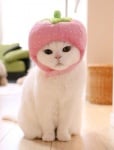 Котката Ура с костюм на ягодка