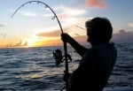 От днес влиза в сила забраната за риболова