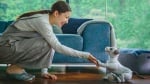 Япония представи уникално Куче - Робот