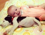 Кученце питбул и бебе са най - сладките приятели, които сте виждали някога