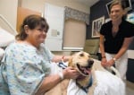 Кучета - лекари на душата помагат за лечението на тежко болни хора