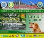 Международна изложба на кучета ще се проведе този уикенд в Стара Загора