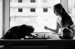 Момиче и котка играят шах
