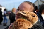 Момиче прегръща заек