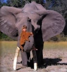 Момиченце със слон