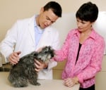 7-те най - чести извинения, които собствениците на домашни любимци използват пред ветеринарите