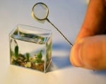 Най-малкият аквариум в света
