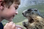 Необяснимо приятелство между малко момче и диви мармоти