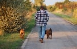 Обучение на кучето: Урок №25. Научете кучето да ви следва без каишка
