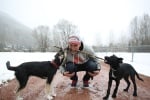 Осиновяване на бездомни кучета в Сочи