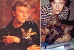 Освен талантлив музикант и актьор, Дейвид Бауи беше и голям любител на животните
