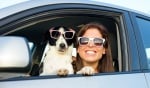 Полезни съвети към стопаните при пътуване с домашен любимец - куче