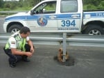Полицай спаси ленивец, хванат в капана на оживена магистрала