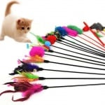 Забавна играчка за котки - пръчка с перце