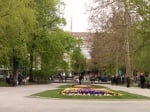 В София започна обработването на тревистите площи срещу кърлежи