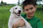 9-годишно момче създава приют за животни "Happy Animals Club"