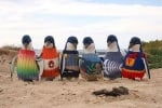 Пуловери за пингвини