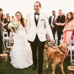 Радостно куче на сватба