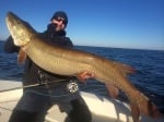 Рибар улови рекорден 145-сантиметров маскинонг и го пусна на свобода