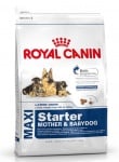 "Maxi Starter M&B" -  Преходна храна за малки кученца от едри породи, достигащи тегло от 26 до 44 кг. 4.00кг  Royal Canin Maxi Starter