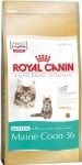 "Kitten Maine Coon" – Храна за подрастващи, бременни и кърмещи котки от породата Майн Куун