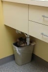 Скрита в коша на ветеринарната клиника котка