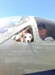 Пилоти доброволци превозват кучета от приюти до новите им домове, за да ги спасят от евтаназия