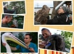 Спасителният център за диви животни към Зелени балкани ни отправя Коледно предизвикателство