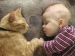 Спящо бебе с котка