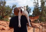 Стопанин се отблагодарява на умиращото си куче за предаността, като го води на последно пътешествие