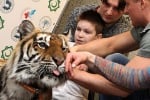 Тигрица помогна на деца, осакатени от войната в Украйна