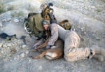 Трогателни снимки на кучета по време на война - това е истинска преданост!