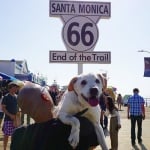Стопанин се отблагодари на умиращото си куче, за щастливите моменти прекарани заедно, с уникално пътешествие