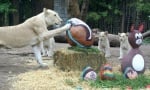 Великден в Зоопарк в Буенос Айрес