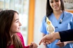 Ветеринарен лекар за папагали