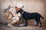 Войник целува куче