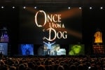 Великолепно шоу в София направи световноизвестният дресьор на кучета Сизър Милан
