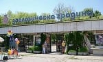 Затвориха зоопарка в София поради внезапната смърт на 6 животни