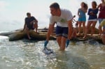 Зелени балкани спасяват делфин в Равда